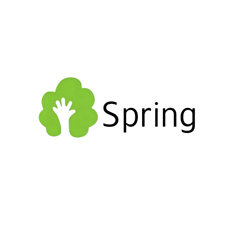 Xiamen Spring Technology Co., Ltd.