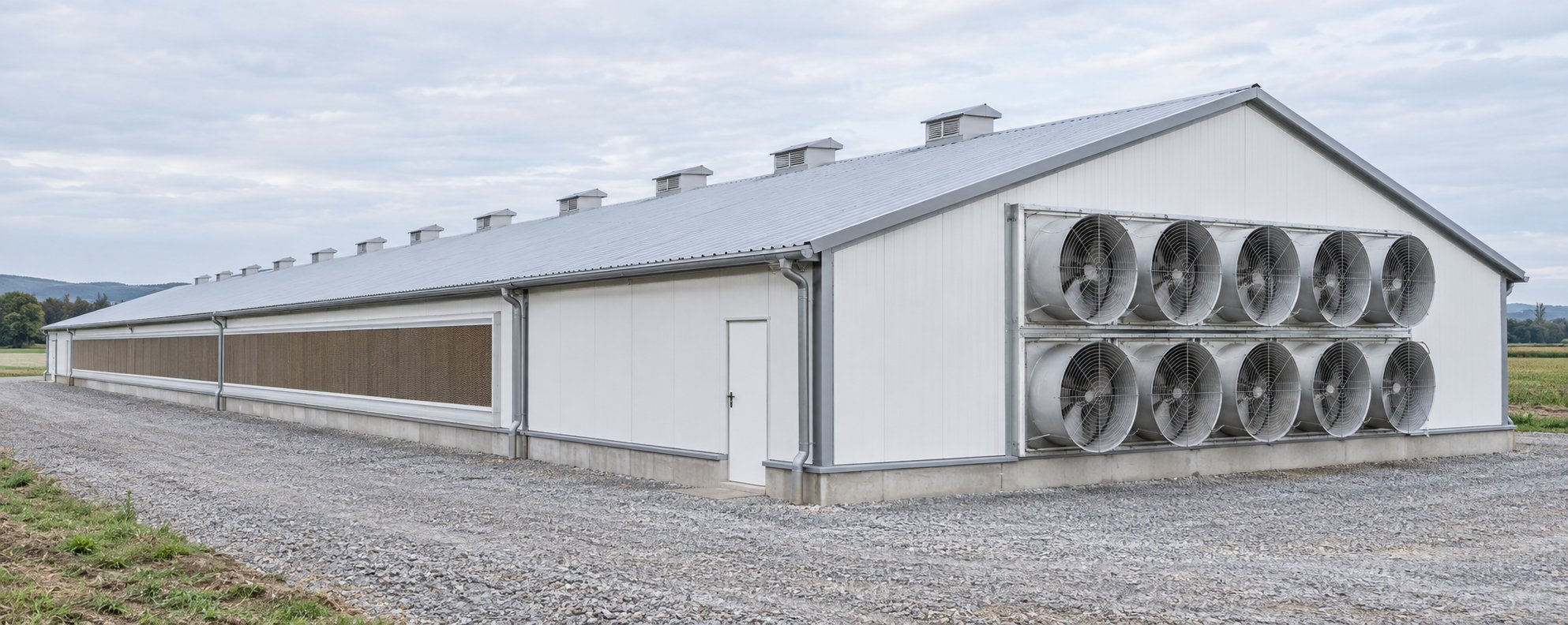 Prefabricated galvanized steel structure chicken shed galvanized steel chicken shed manufacturer