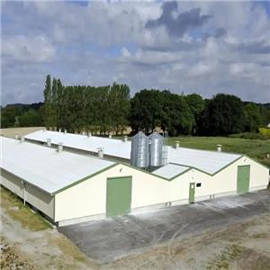 Prefabricated galvanized steel structure chicken shed prefab broiler farm building wholesale