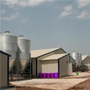 Prefabricated galvanized steel structure chicken shed industrial layer hen house steel structure
