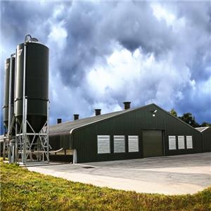 Prefabricated galvanized steel structure chicken shed galvanized steel chicken shed manufacturer