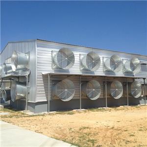 Prefabricated galvanized steel structure chicken shed commercial poultry house supplier