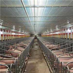 Prefabricated galvanized steel structure pig shed industrial swine shed steel structure