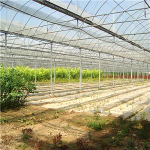 Agricultural light steel farm shed building commercial machinery storage supplier