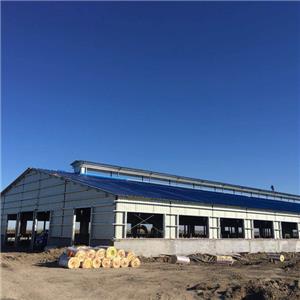 Prefabricated galvanized steel Structure Cow Shed prefab dairy barn building wholesale