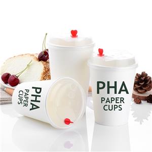 Customized Double Wall Paper Cup Waterproof PLA Coffee Cup for Hot Drinks Carbon-Neutral Drinkware