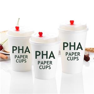Customized Double Wall Paper Cup Waterproof PLA Coffee Cup for Hot Drinks Plant-Based Beverage Vessel