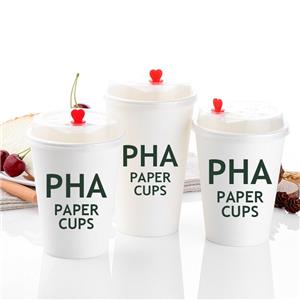 Customized Double Wall Paper Cup Waterproof PLA Coffee Cup for Hot Drinks Green Alternative Container