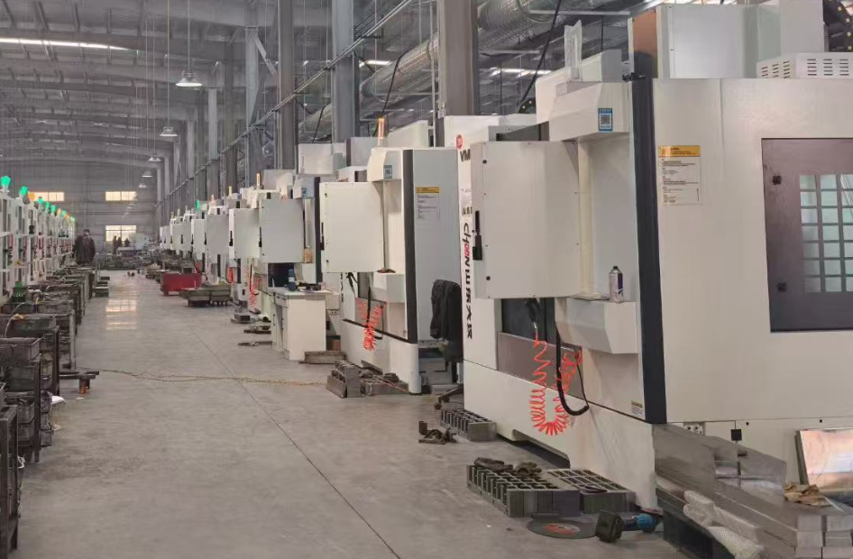 Werma Factory Scale Xiamen Dongfeng Bearing Mechanical & Electrical Co., Ltd. factory
