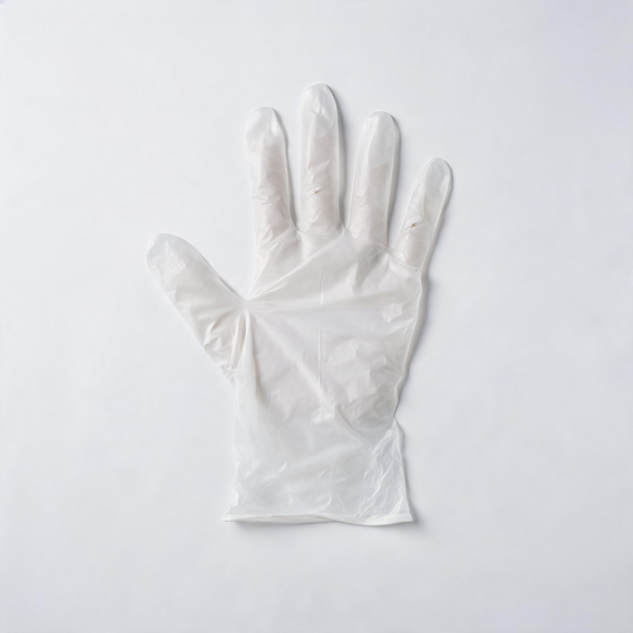 Vinyl Examination Gloves Clear – clear PVC vinyl examination gloves, powder-free, latex-free, food-safe