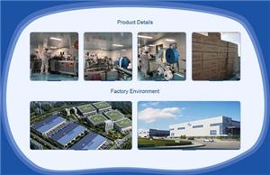 Justsun factory environment – production facility exterior and manufacturing floor overview