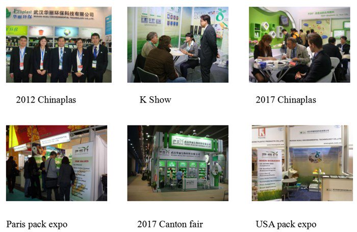 International Show