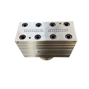 High Quality Dual-Cavity PVC Door Panel Extrusion Mold Superior Mold for Door Panels Dual-Cavity Extrusion Mold