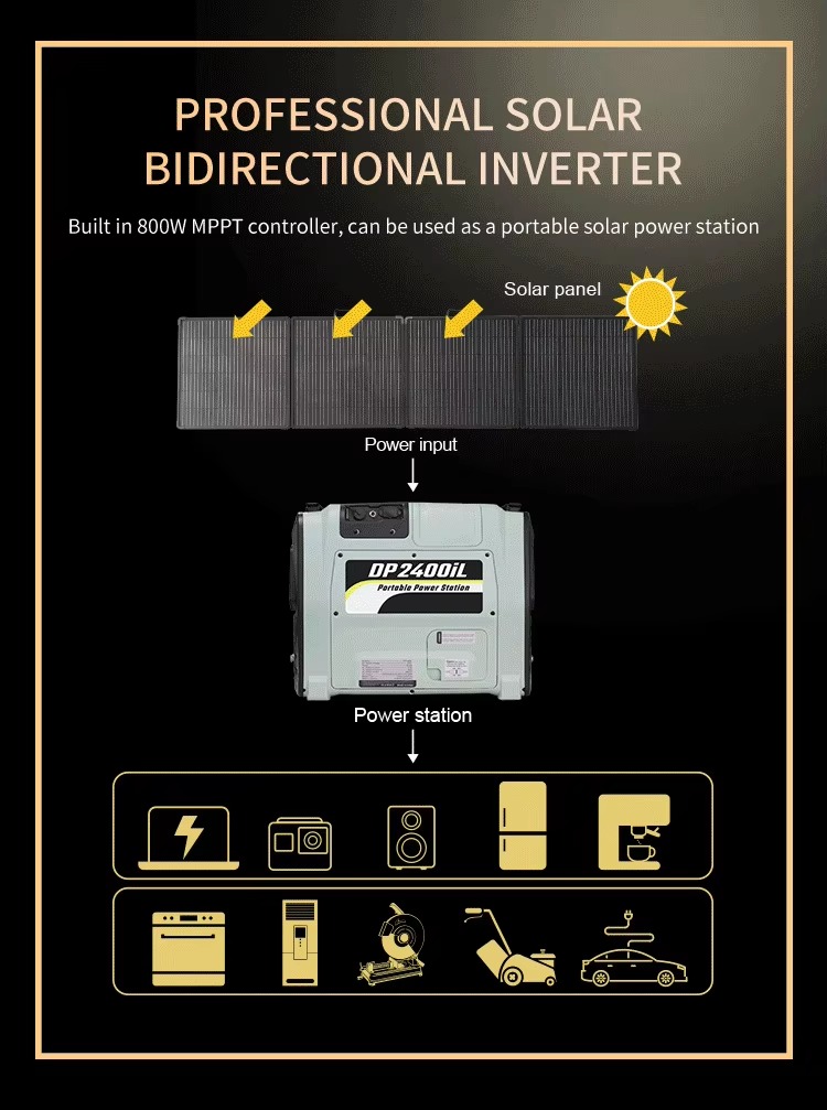 DP2400iL Professional Solar Bidirectional Inverter