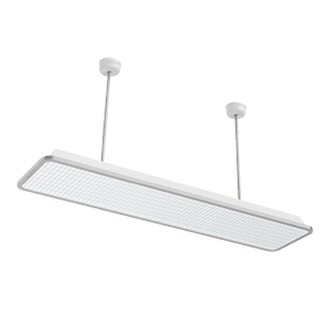 Education Light