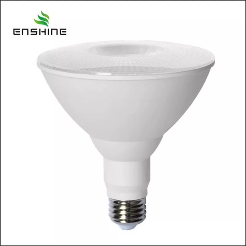 LED Par Light Bulb