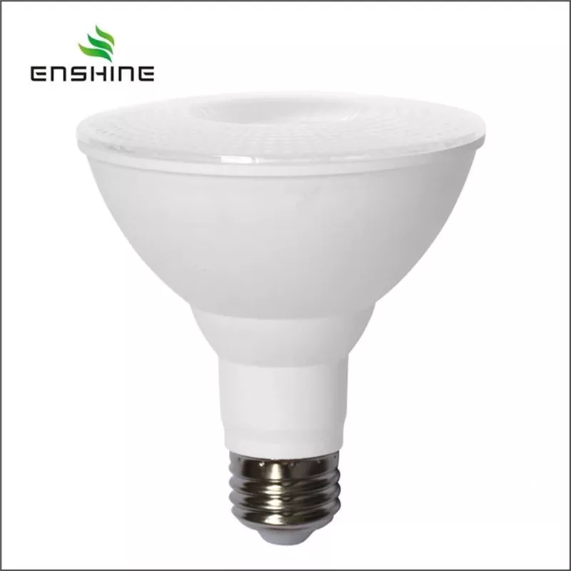 LED Par Light Bulb Par38 led bulb