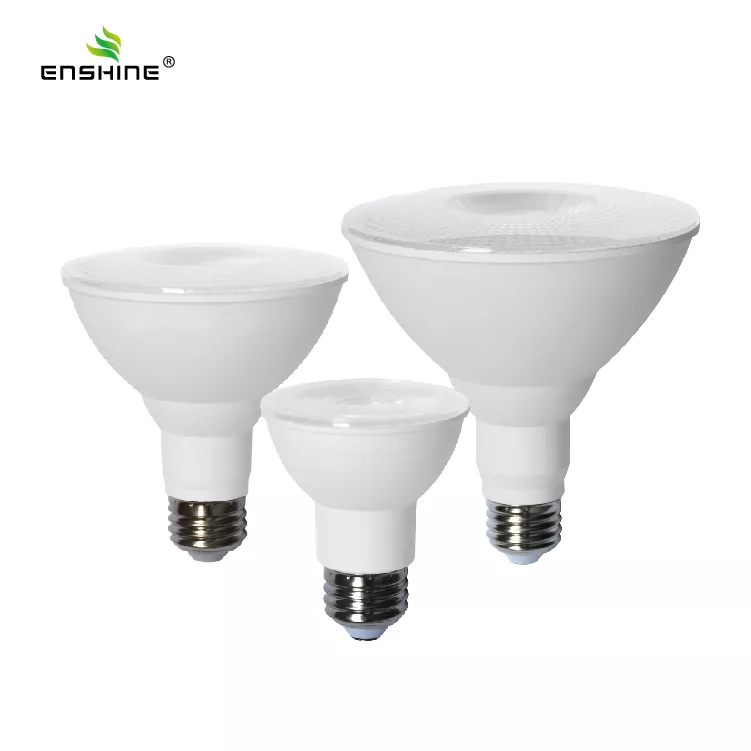 LED Par Light Bulb LED PAR LIGHT IP65 Waterproof