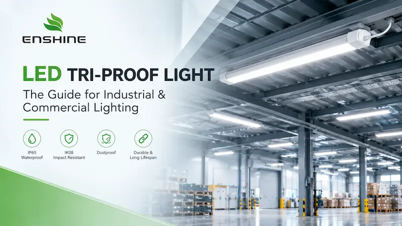 Tri-Proof Light: The Buyer's Guide for Industrial & Commercial Lighting